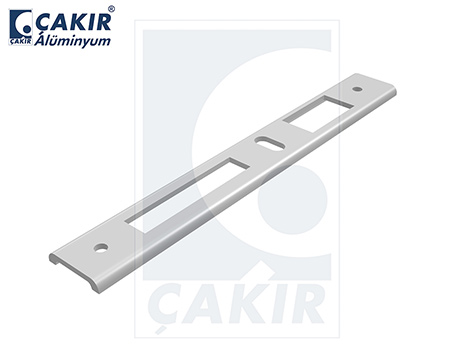 Locking Plate With Latch